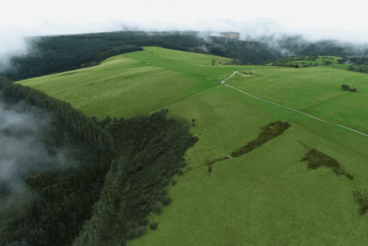 Foresight Natural Capital exits Welsh Afforestation Project