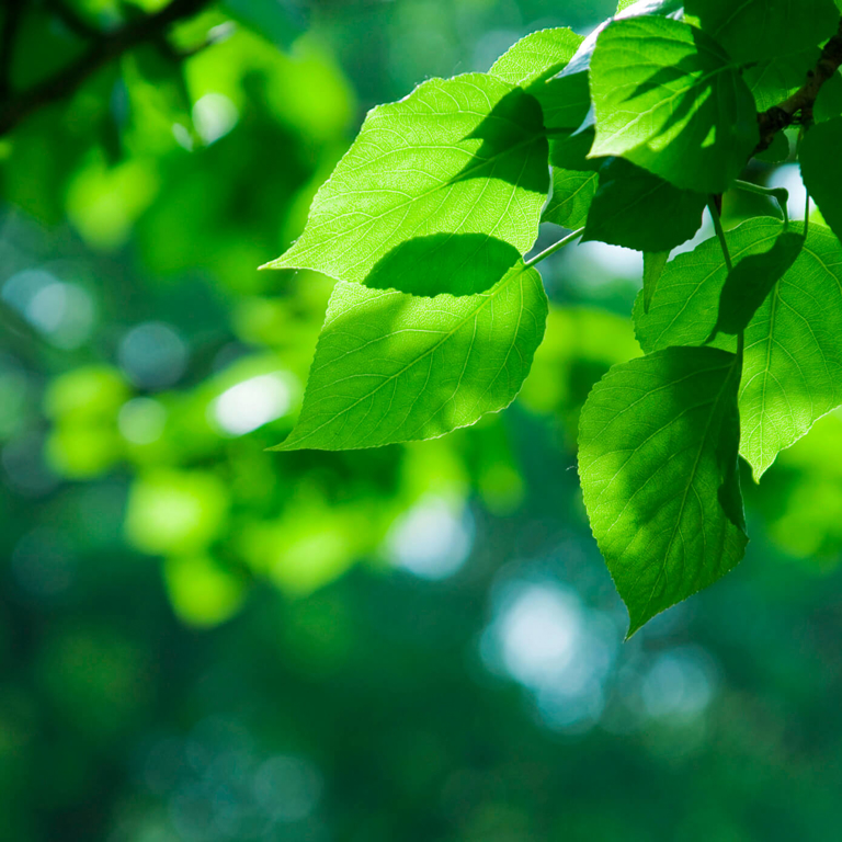 What are the benefits of Foresight AITS?