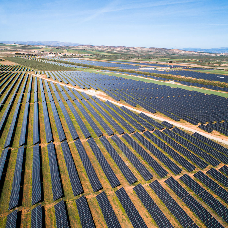 The market opportunity  